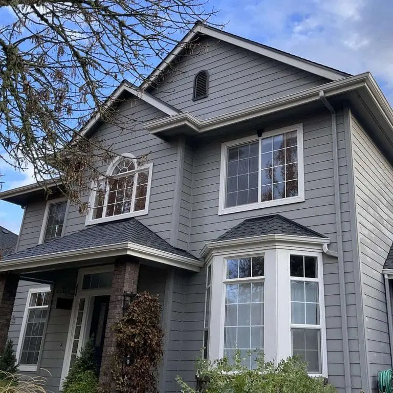 Exterior-window-cleaning-house