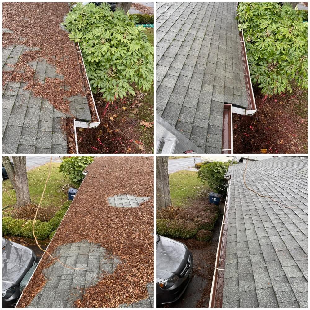 Roof Cleaning Contracter in Springfield OR